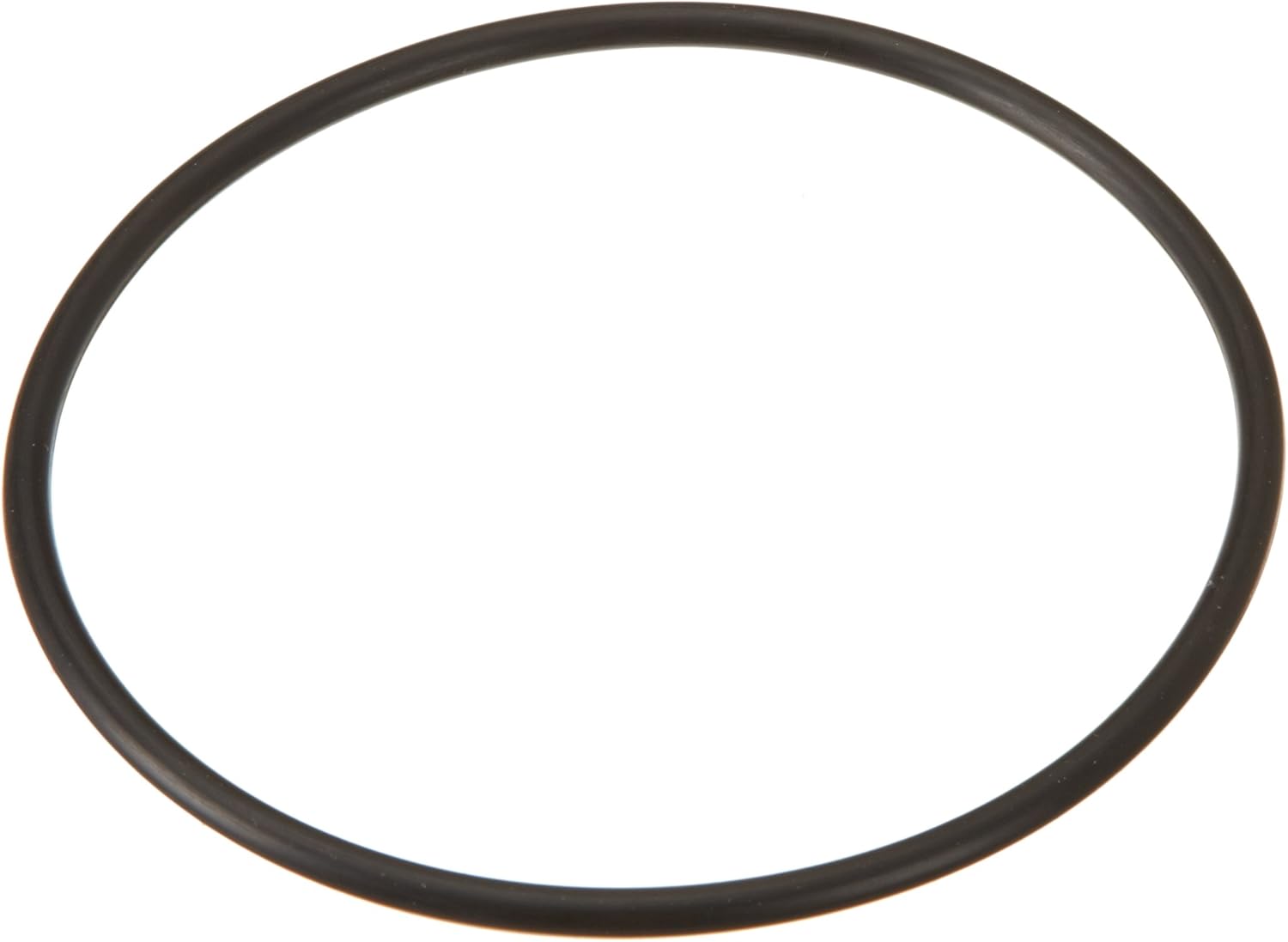 Black Hayward O-Ring Replacement for Salt Cell, durable rubber seal for leak prevention.