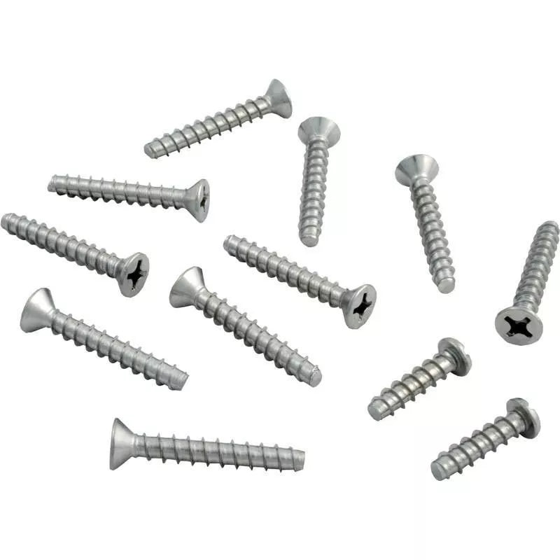 Hayward SPX0607Z1A Stainless Steel Screw Set for JiffyNiche & DuraNiche Pool Lights