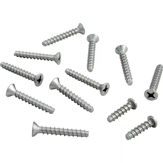 Hayward SPX0607Z1A Stainless Steel Screw Set for JiffyNiche & DuraNiche Pool Lights