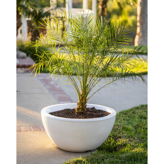 The Outdoor Plus 30" Round Luna Planter Bowl - GFRC Concrete - Ash -  | OPT-LUNPO30-ASH